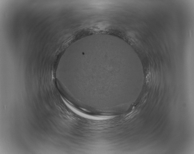 X0000066001156200603061316