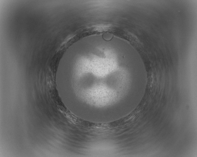 X0000066001158200603061316