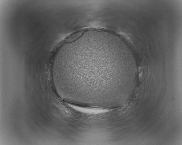 X0000066001159200603061316