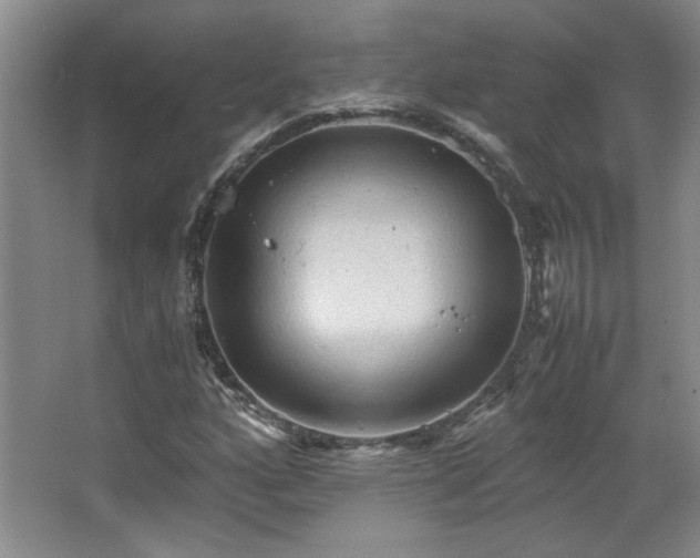 X0000066001160200603061316