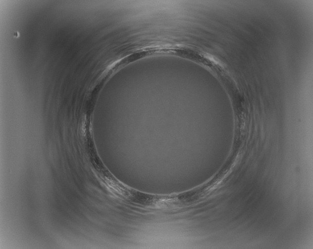 X0000066001161200603061316