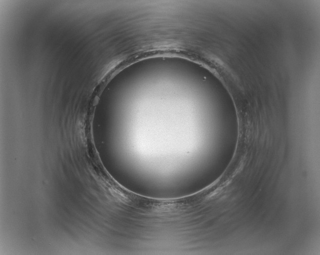 X0000066001162200603061316