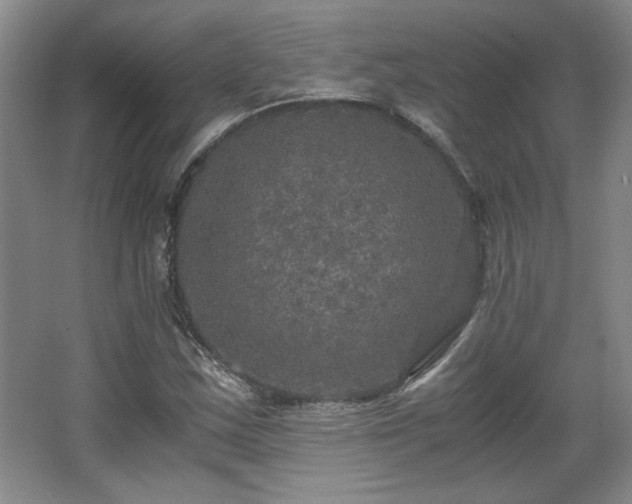 X0000066001163200603061316