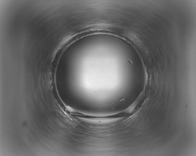 X0000066001164200603061316