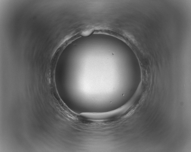 X0000066001165200603061316