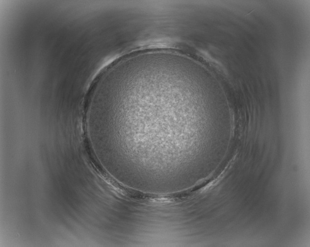 X0000066001166200603061316