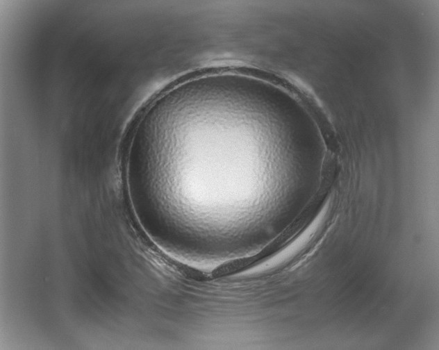 X0000066001167200603061316