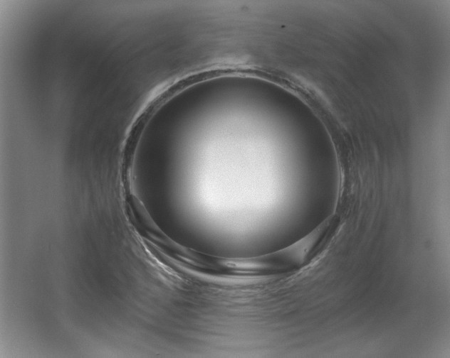 X0000066001168200603061316