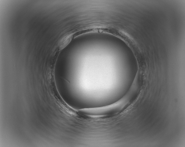 X0000066001169200603061316