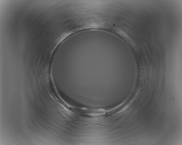 X0000066001170200603061316