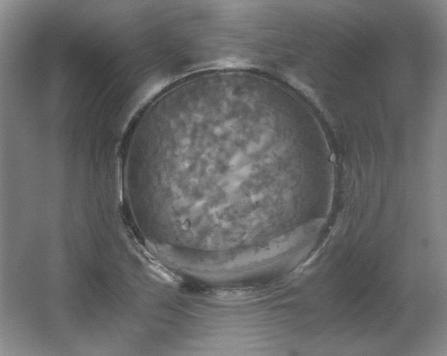 X0000066001171200603061316