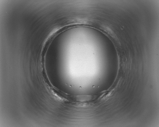 X0000066001172200603061316