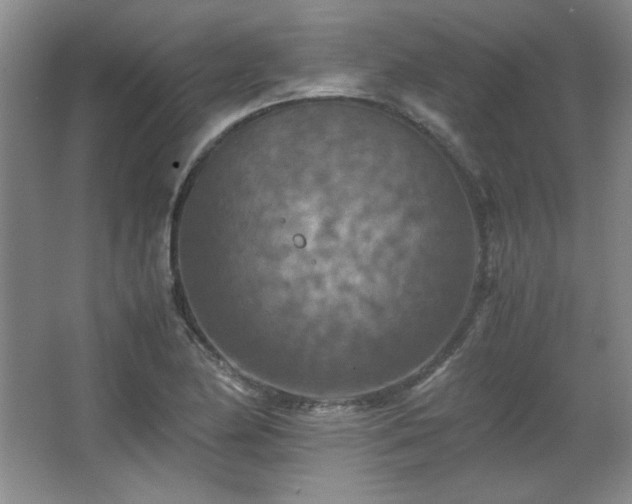 X0000066001174200603061316