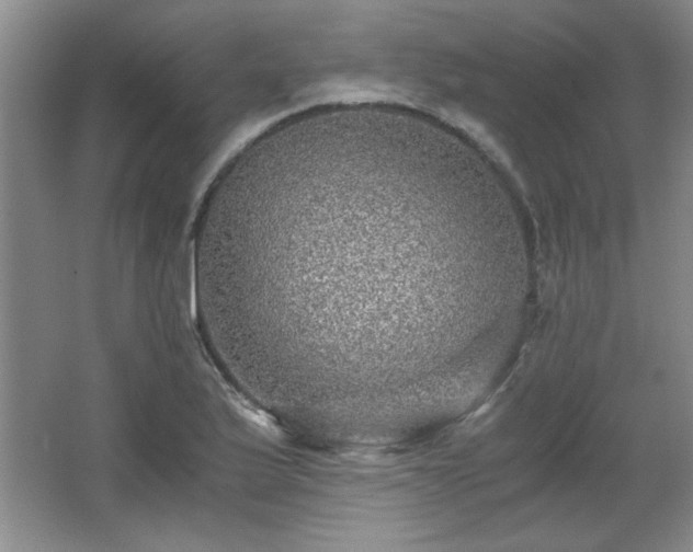 X0000066001175200603061316