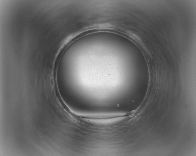 X0000066001176200603061316