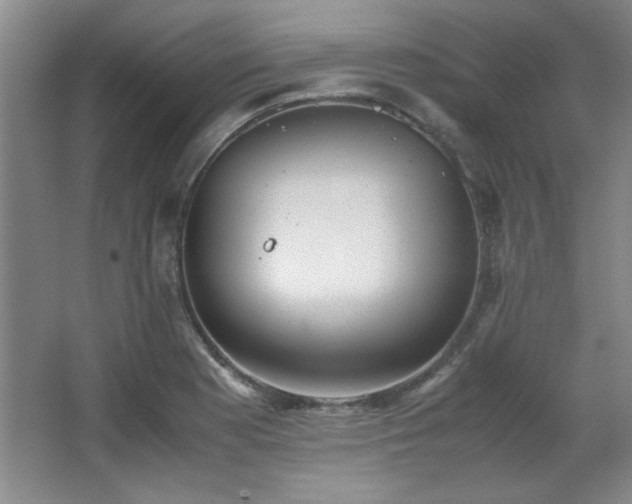 X0000066001177200603061315