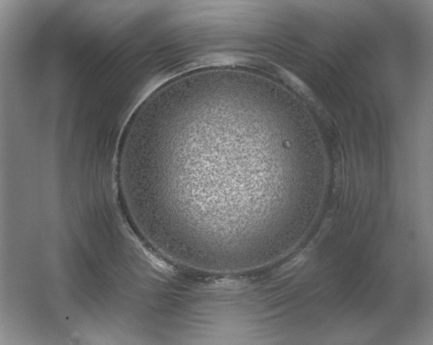 X0000066001178200603061315