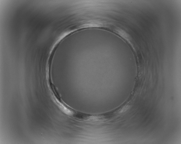 X0000066001179200603061315