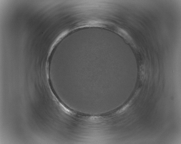 X0000066001180200603061315