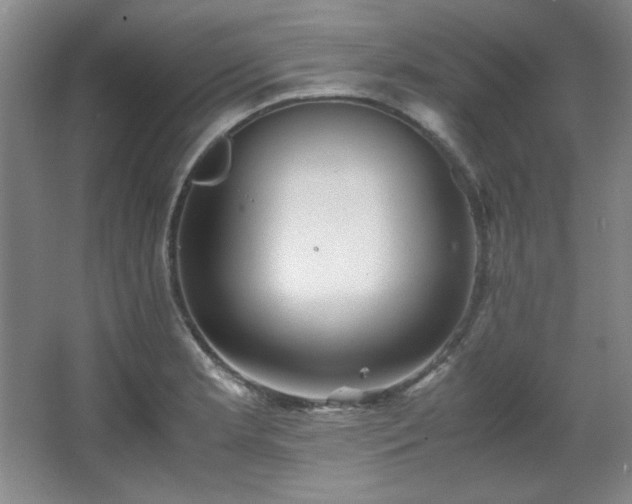 X0000066001181200603061315