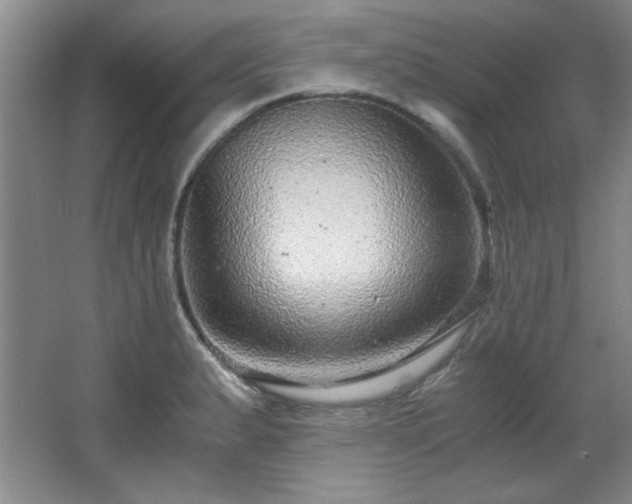 X0000066001183200603061315