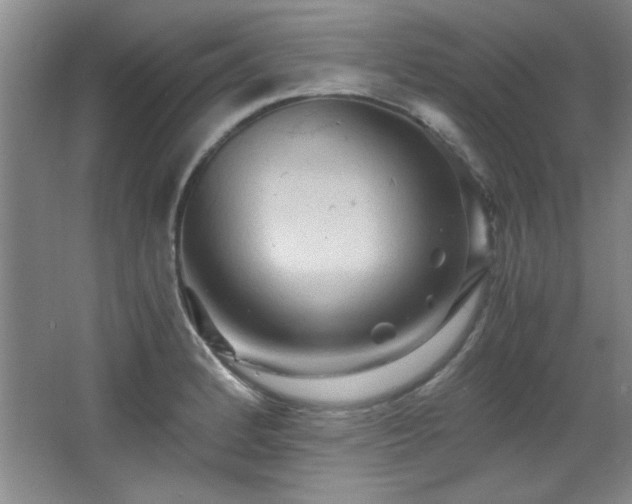 X0000066001184200603061315