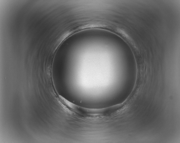 X0000066001185200603061315