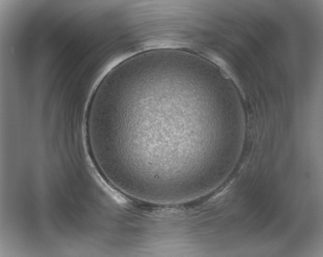 X0000066001187200603061315