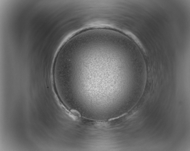 X0000066001191200603061315