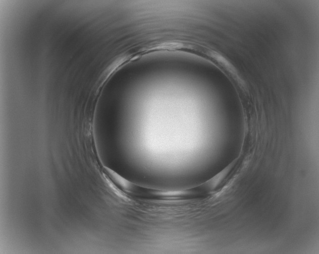 X0000066001193200603061315