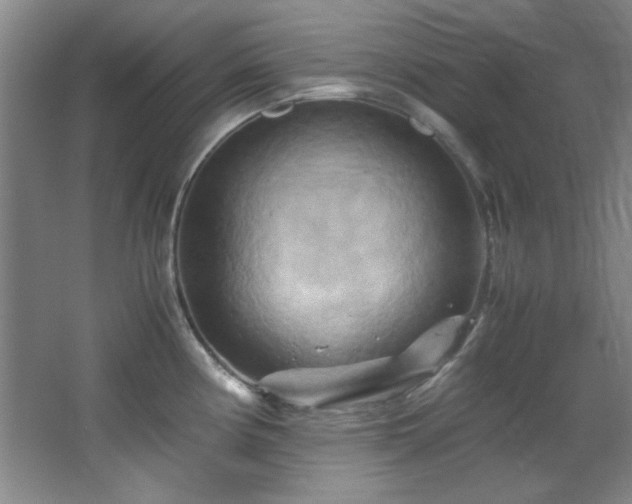 X0000066001194200603061315