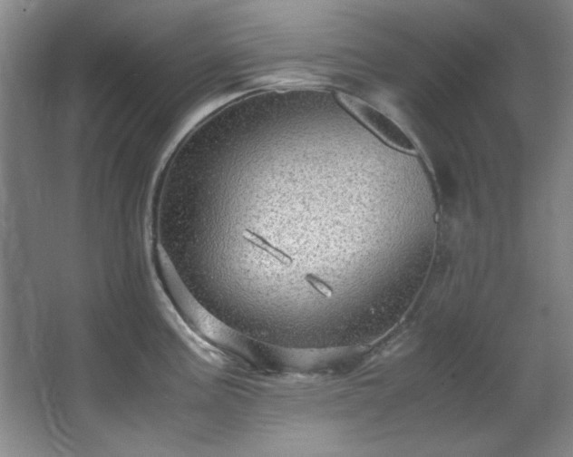 X0000066001195200603061315