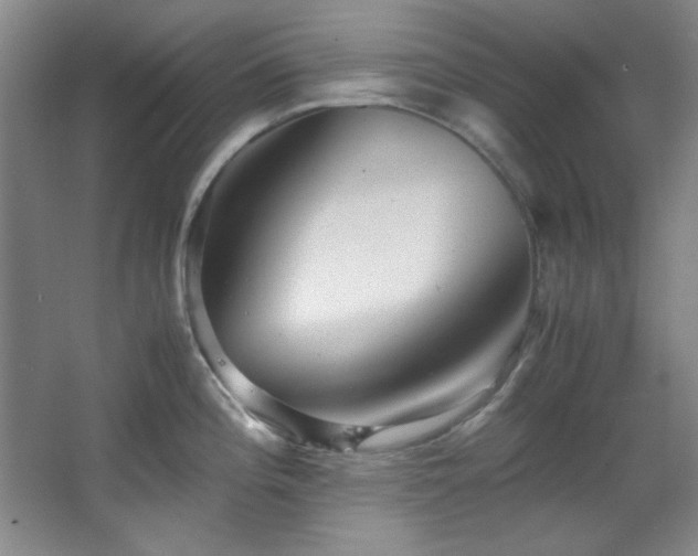 X0000066001196200603061315