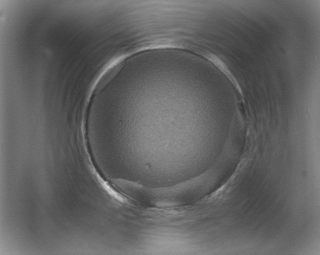 X0000066001197200603061315