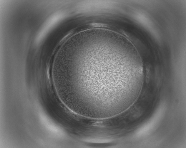 X0000066001198200603061315