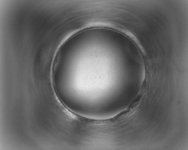 X0000066001199200603061315