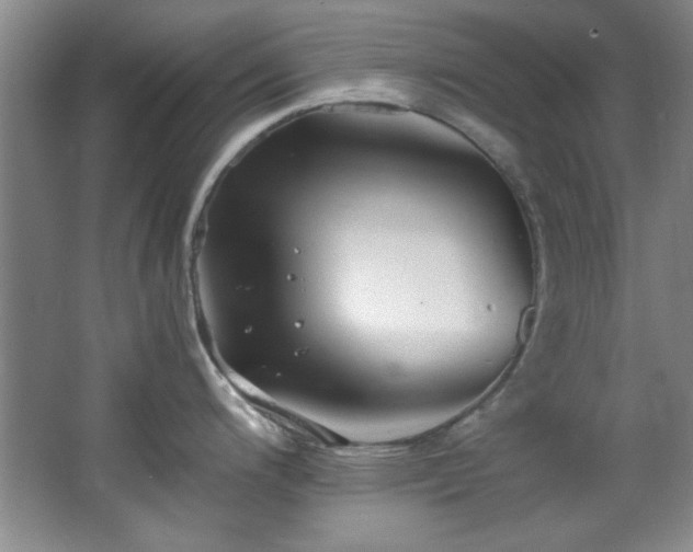 X0000066001200200603061315