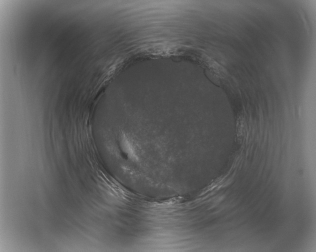 X0000066001202200603061314