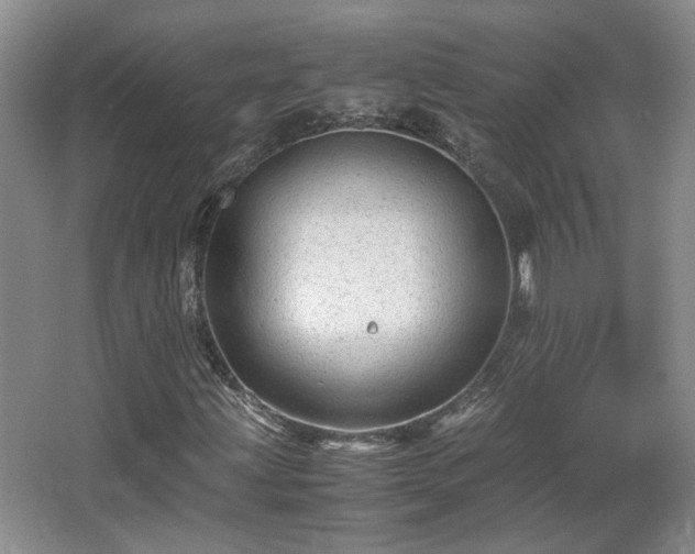 X0000066001203200603061314