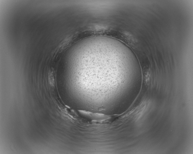 X0000066001204200603061314