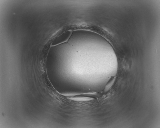 X0000066001205200603061314