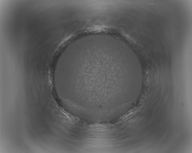 X0000066001206200603061314