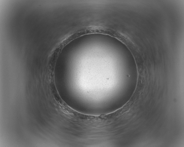 X0000066001207200603061314