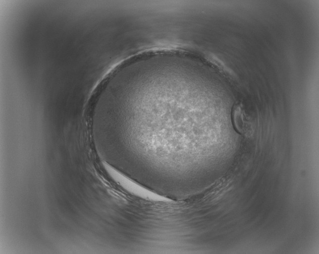 X0000066001208200603061314