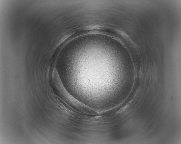 X0000066001209200603061314