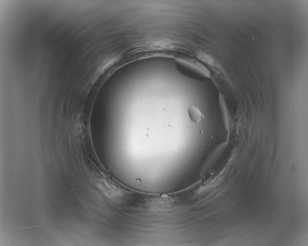 X0000066001210200603061314