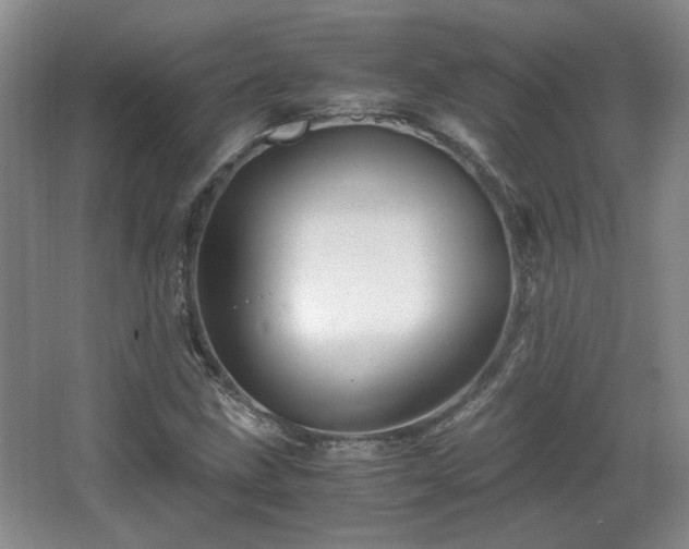 X0000066001211200603061314