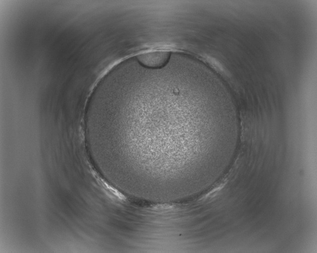 X0000066001212200603061314