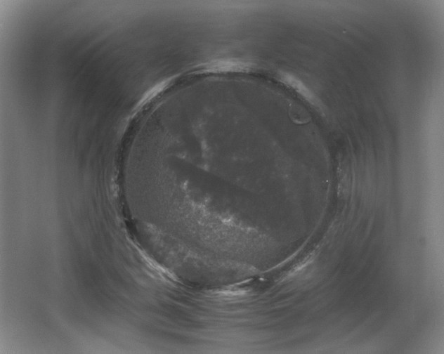 X0000066001213200603061314