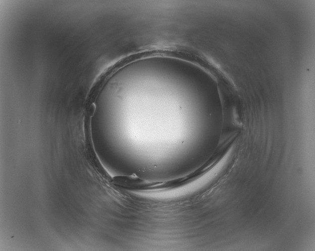 X0000066001214200603061315